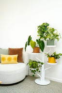 Marley Luxe 5 Tier Plant Stand - White