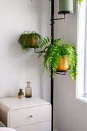 Black Plant Pole Tray - Large PREORDER