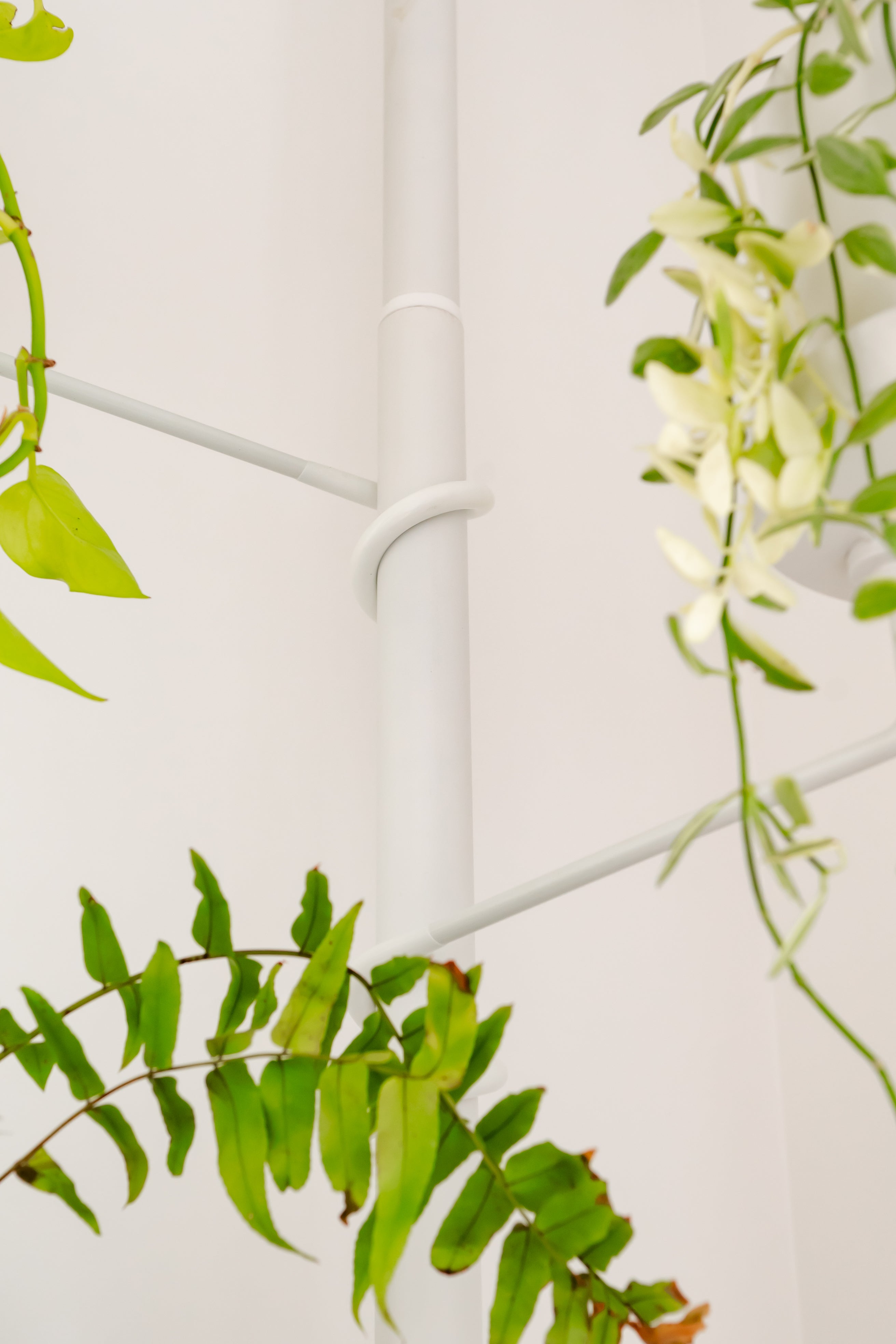 indoor spring loaded hanging plant pole Tension Plant Pole With Trays