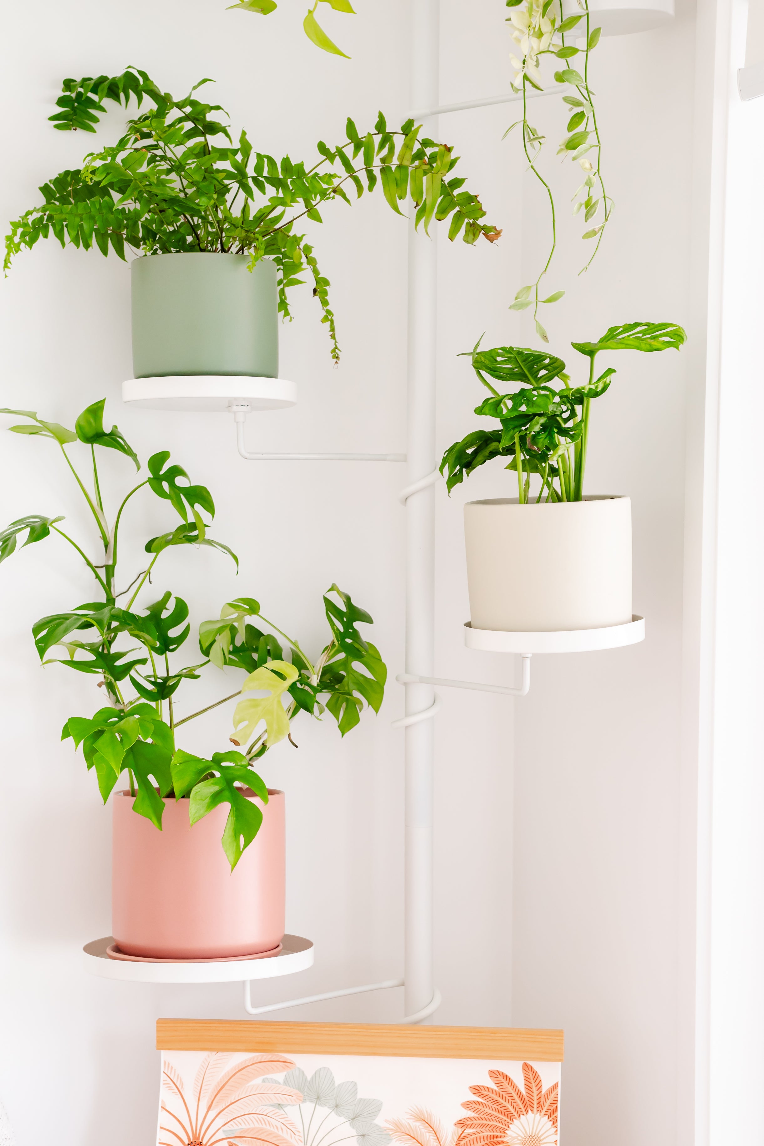 Tension Plant Poles  Urban Greenhouse