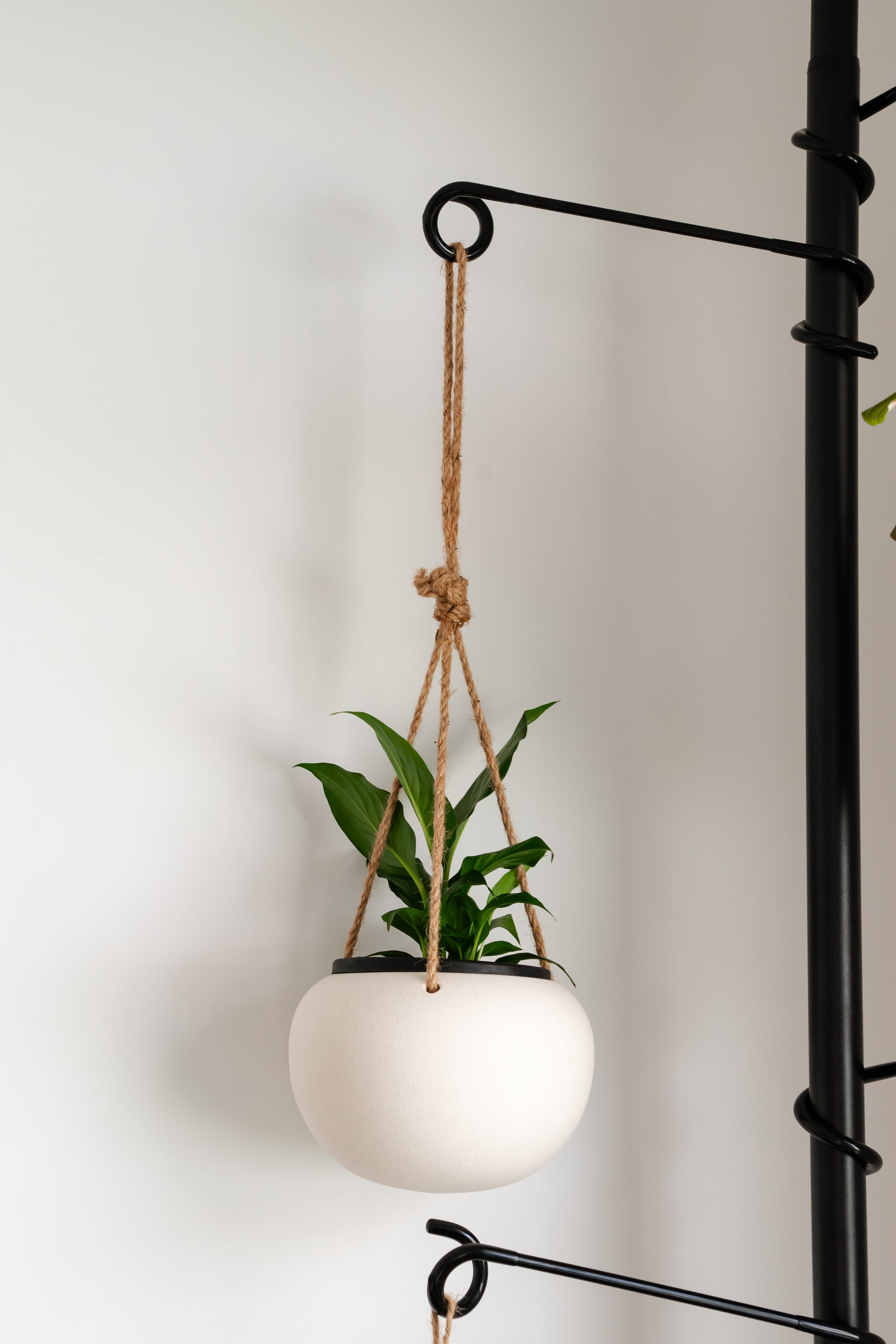 in ground hanging plant stand Tension Plant Pole With Hooks