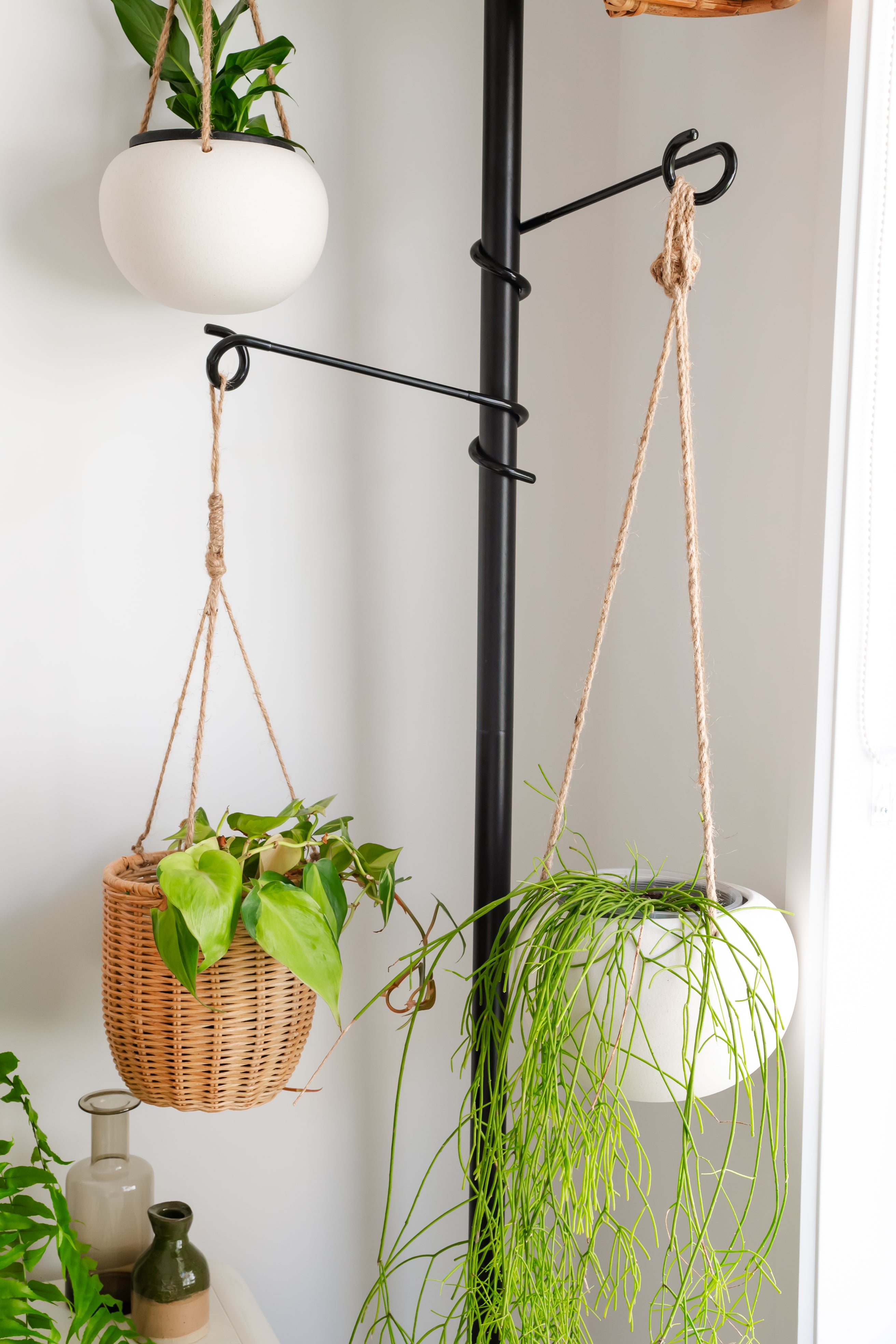 hanging plant tension pole Black Plant Pole Hook – Urban Greenhouse