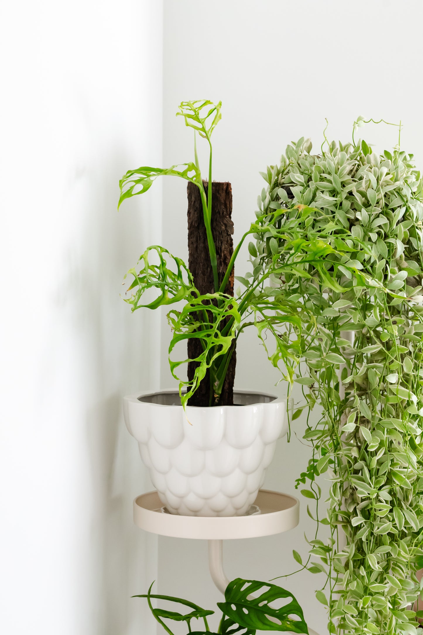 PREORDER Marley Luxe 5 Tier Plant Stand - Nude