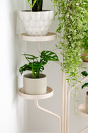 Marley Luxe 5 Tier Plant Stand - Nude