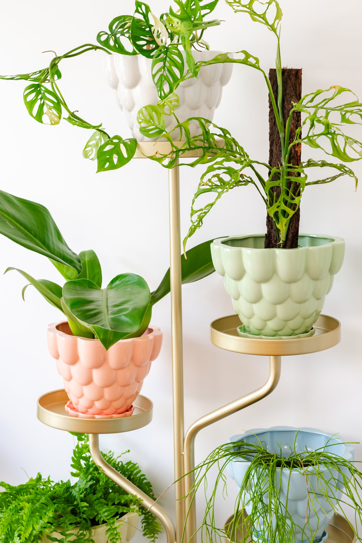 PREORDER Marley Luxe 5 Tier Plant Stand - Gold