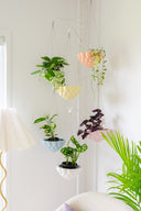 White Plant Pole with Hooks + Jelly Planters
