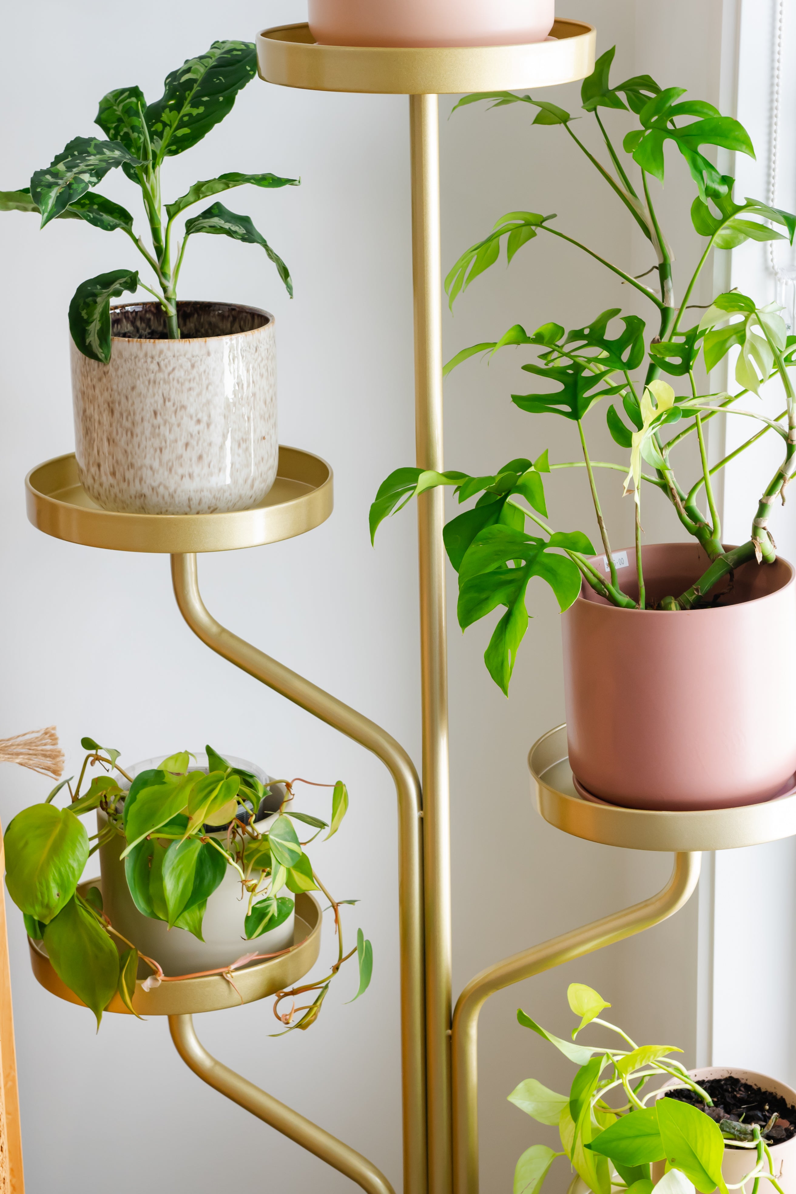 indoor plant stand metal Marley Luxe 5 Tier Plant Stand