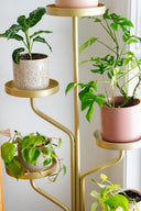 Marley Luxe 5 Tier Plant Stand - Gold