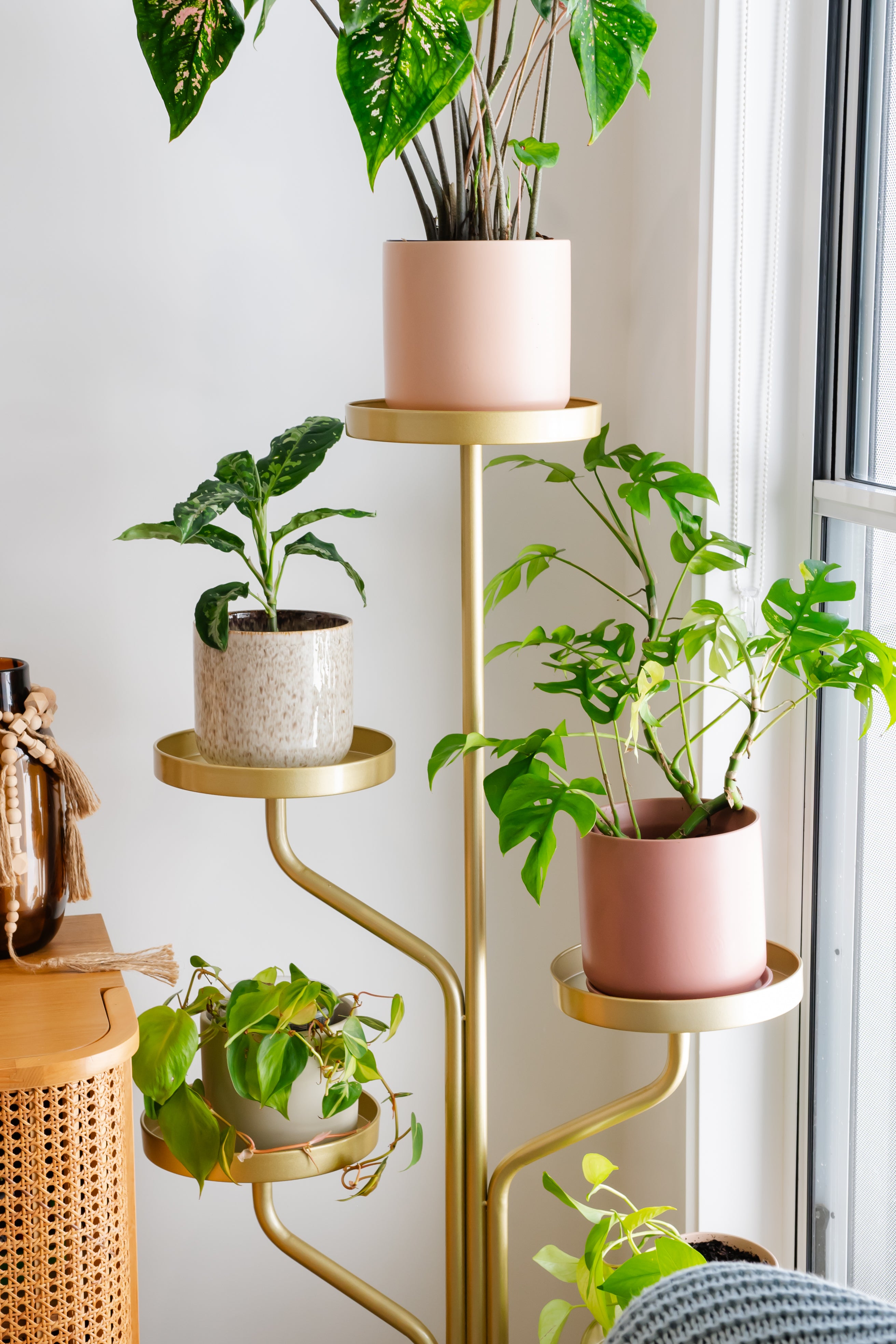 邦楽 Golden Christmas selfish volume 03.5 Marley Luxe 5 Tier Plant Stand - Gold – Urban Greenhouse