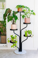 Marley Luxe 5 Tier Plant Stand - Black