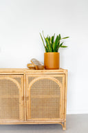Oceana Shell Lidded Basket