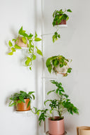 White Plant Pole Tray - Small PREORDER