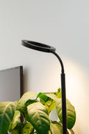 Grow Light Stand - Black