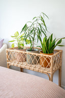 Coral Extra Large Planter Stand
