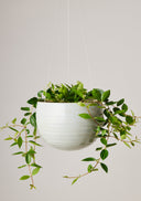 Spherical Hanging Planter - Grey Crackle