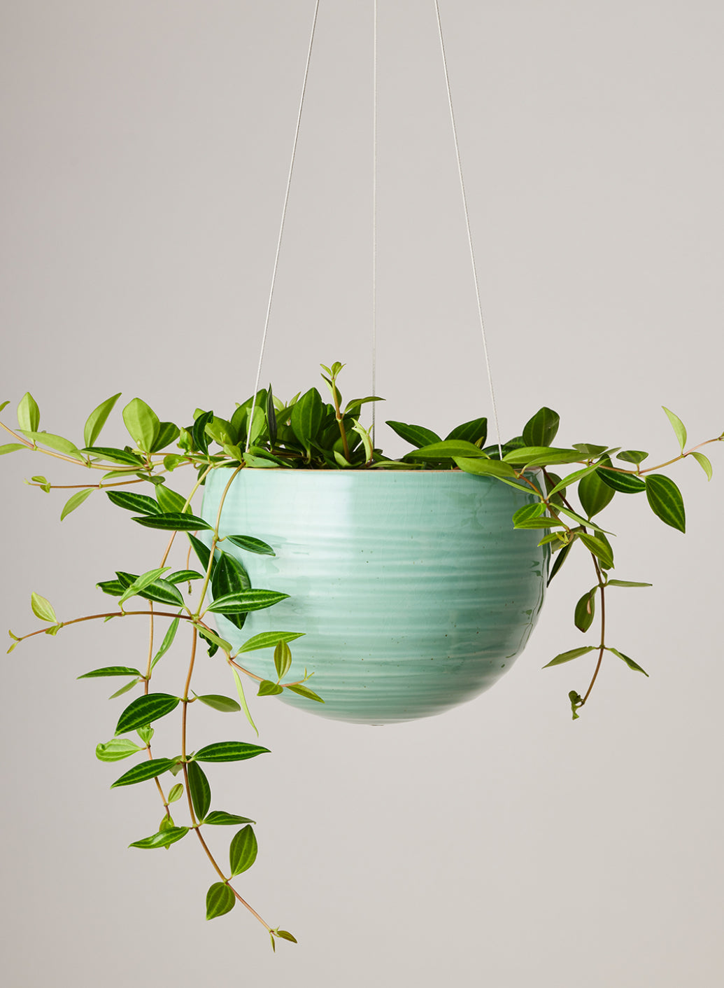 Spherical Hanging Planter - Green Crackle