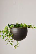 Spherical Hanging Planter - Smooth Matte Black