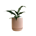 Oslo Peach Small Decorative Planter