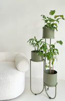 Dolly 3 Tier Plant Stand Eucalyptus Green - Coming Soon