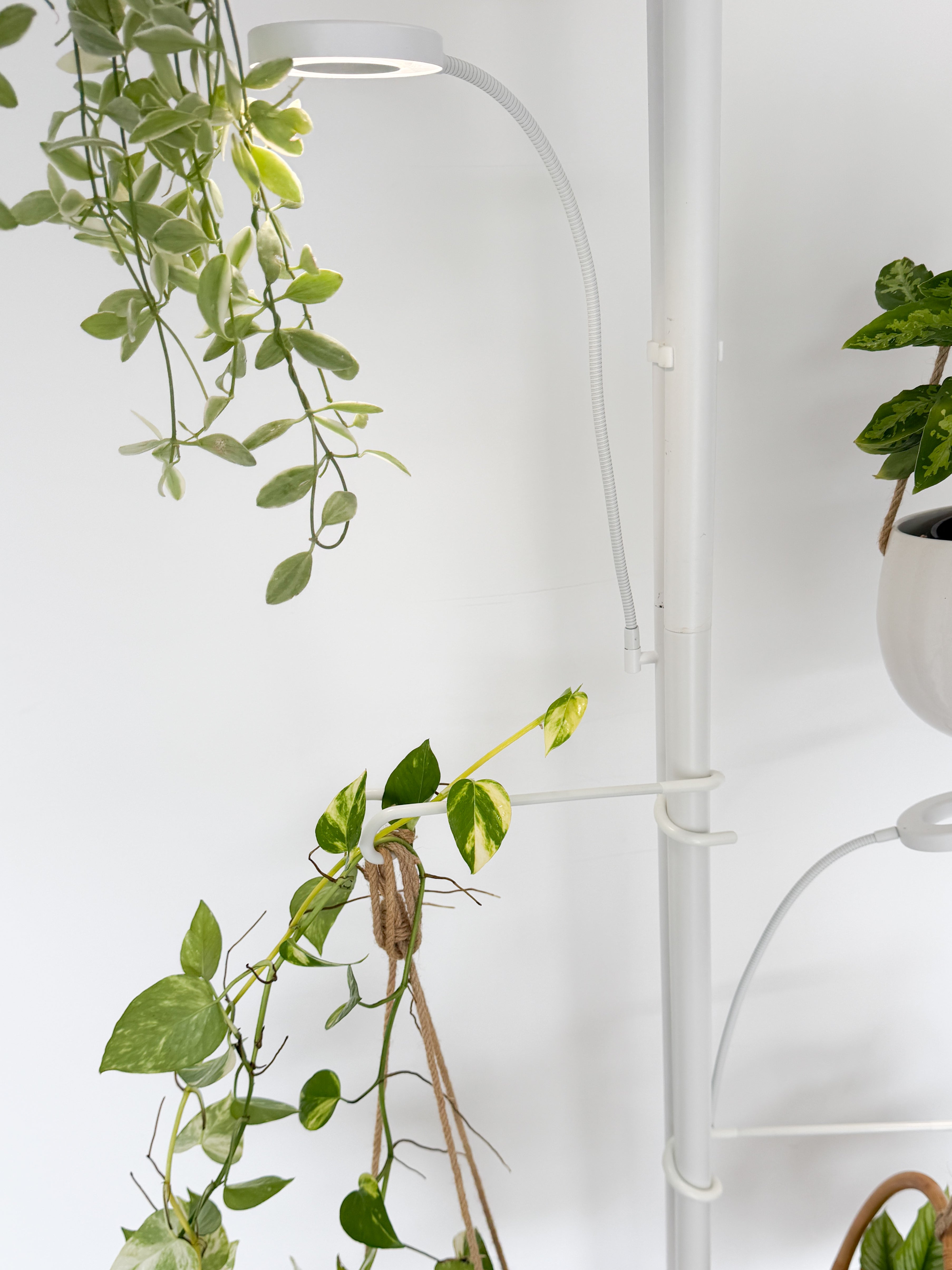 indoor plant tension pole Grow Light Pole System
