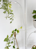 Grow Light Pole System - White PREORDER
