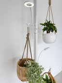 Grow Light Pole System - White PREORDER