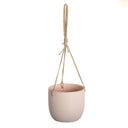 Daisy Hanging Planter Nectarine 14.5cm