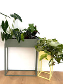 Metal Plant Stand Bundle