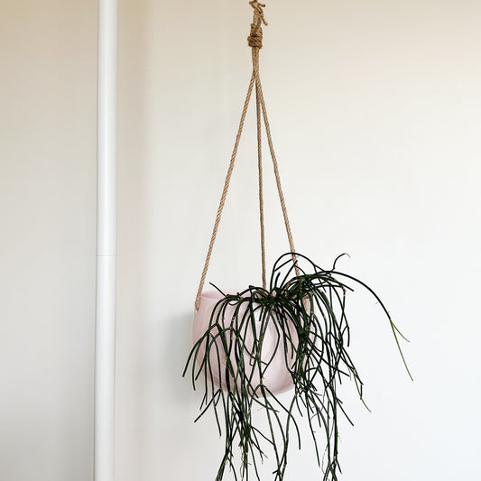 Lolly Ceramic Hanging Planter - Nude