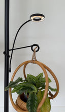 Grow Light Pole System - Black PREORDER