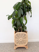 Sunny Square Rattan Plant Stand
