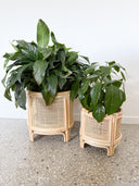 Bambi Round Rattan Plant Stand