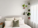 <h1>This is the <em>indoor plant solution</em> you've been looking for.</h1>
