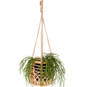 Lola Rattan Hanging Planter