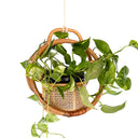 Dorothy Rattan Planter