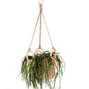 Bella Rattan Planter