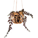 Maycee Rattan Hanging Planter