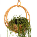 Isla Rattan Planter