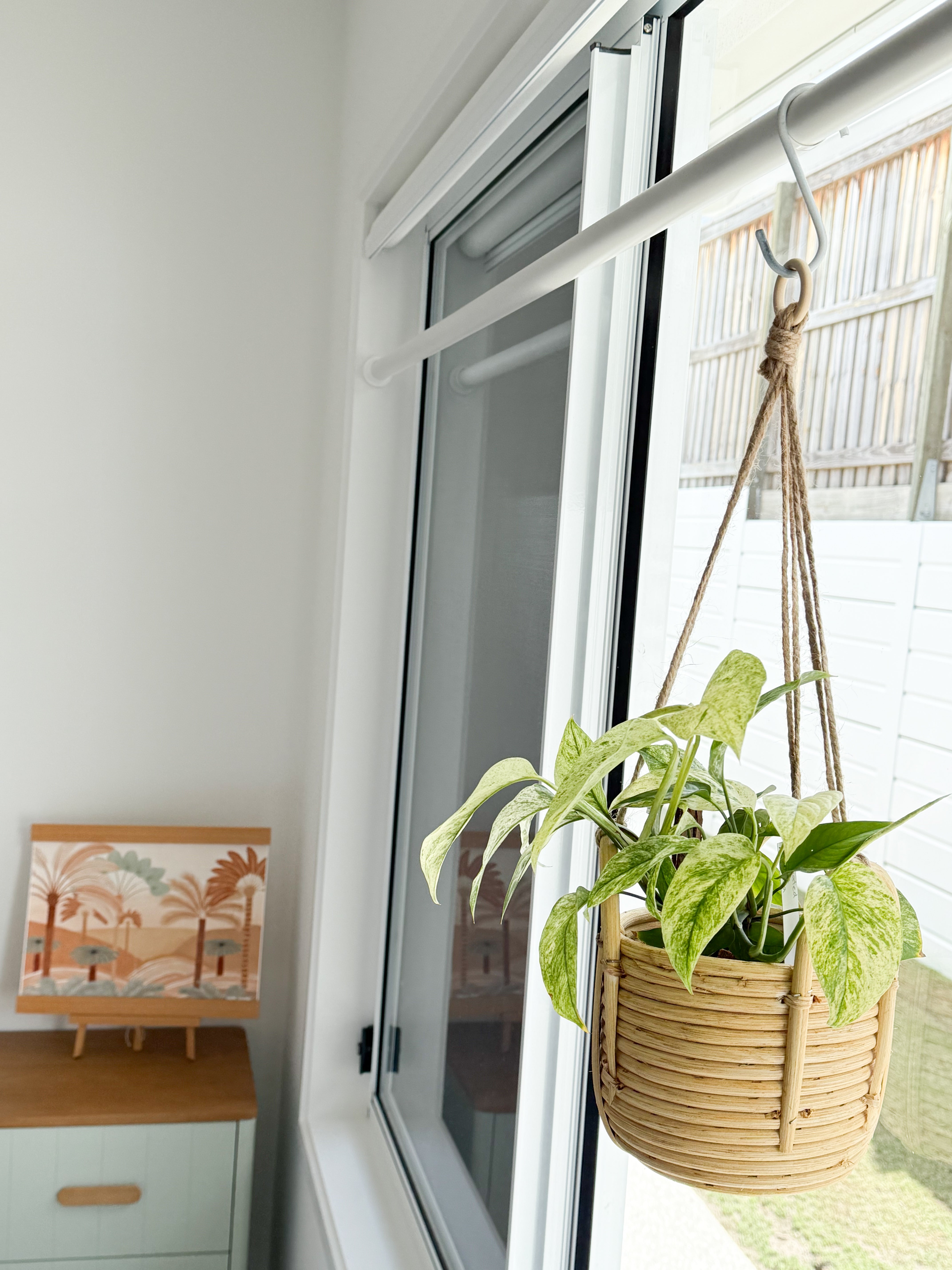 plant hanger in front of window Window Hanging Pole