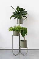 Dolly 3 Tier Plant Stand Eucalyptus Green - Coming Soon