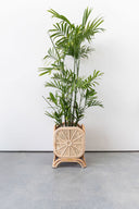 Sunny Square Rattan Plant Stand