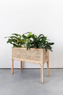 Sunny Rattan Extra Large Plant Stand