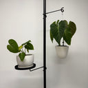 Shell Embossed Hanging Planter