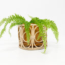Pearl Rattan Planter