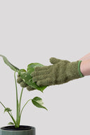 Foliage Dusting Gloves