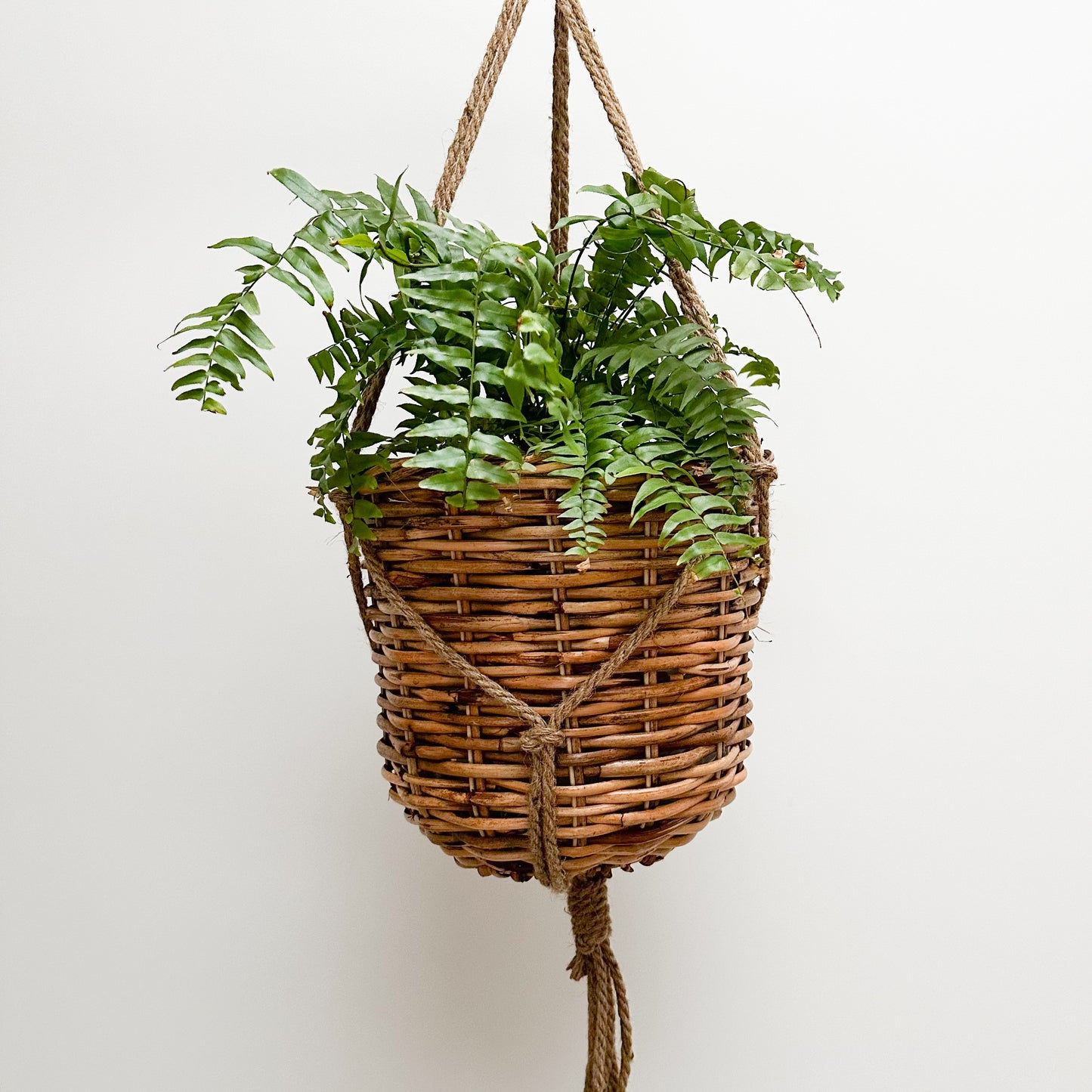 Zima Hanging Rattan Basket