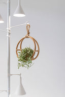Hanging Grow Light