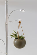 Grow Light Pole System