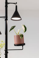 Hanging Grow Light
