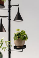 Hanging Grow Light